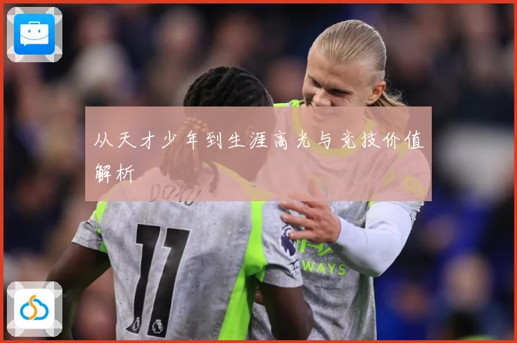 从天才少年到生涯高光与竞技价值解析