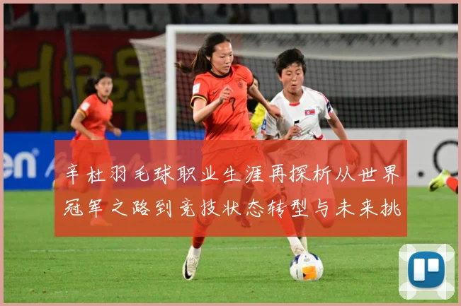 辛杜羽毛球职业生涯再探析从世界冠军之路到竞技状态转型与未来挑战