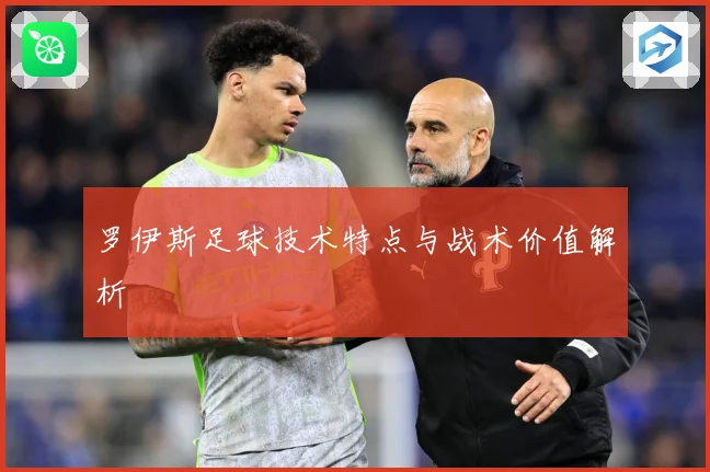 罗伊斯足球技术特点与战术价值解析